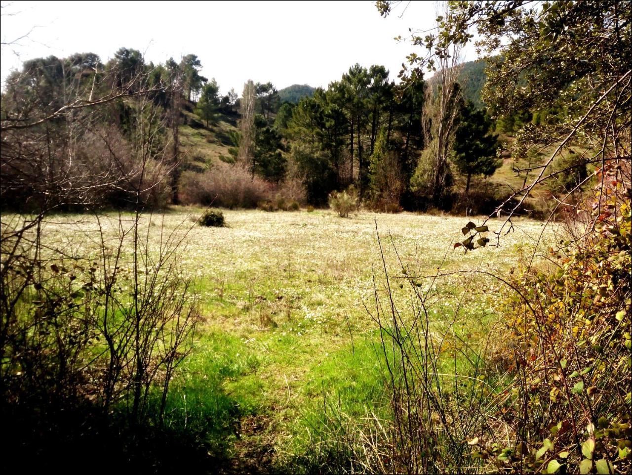 Casas Rurales Picos Del Oso รีโอปาร์ ภายนอก รูปภาพ